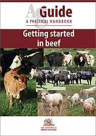 Ag Guide - Getting Started in Beef
