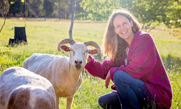 Big dreams come to life on small farms