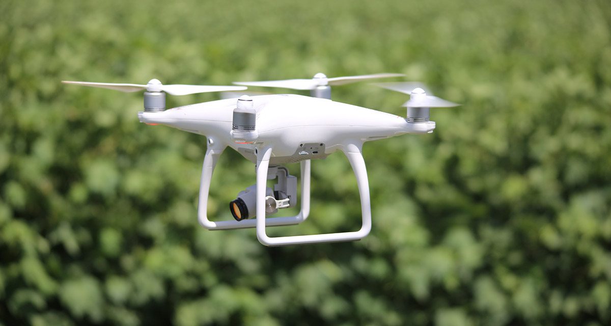 Drones revolutionising farming