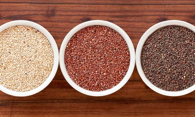 Capitalising on the quinoa superfood trend
