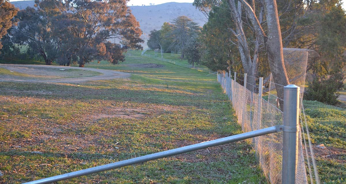 Fences help farmers fight disease