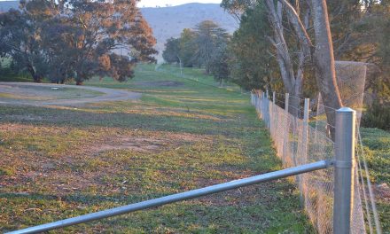 Fences help farmers fight disease