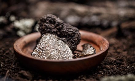 Truffles taking off in Australia