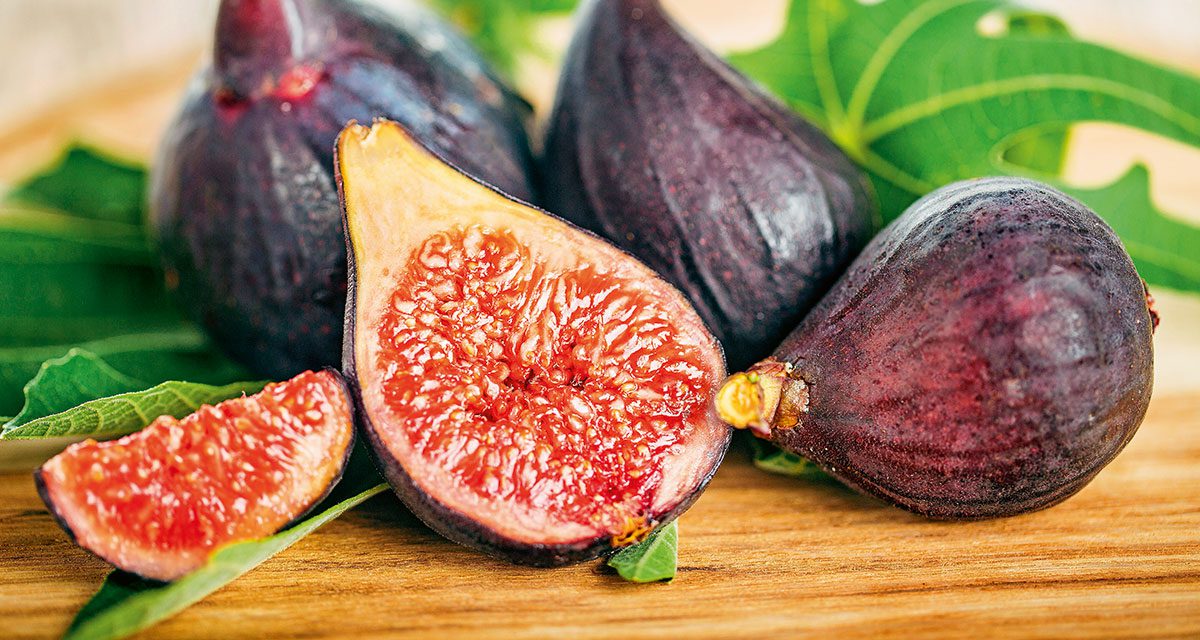 Fabulous figs for food and wildlife