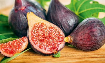 Fabulous figs for food and wildlife