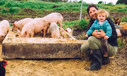 The accidental farmer