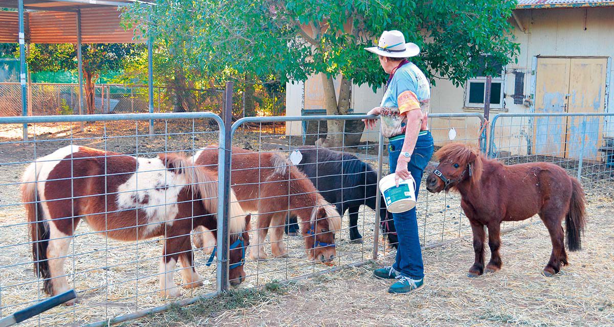 Little horses for little blocks