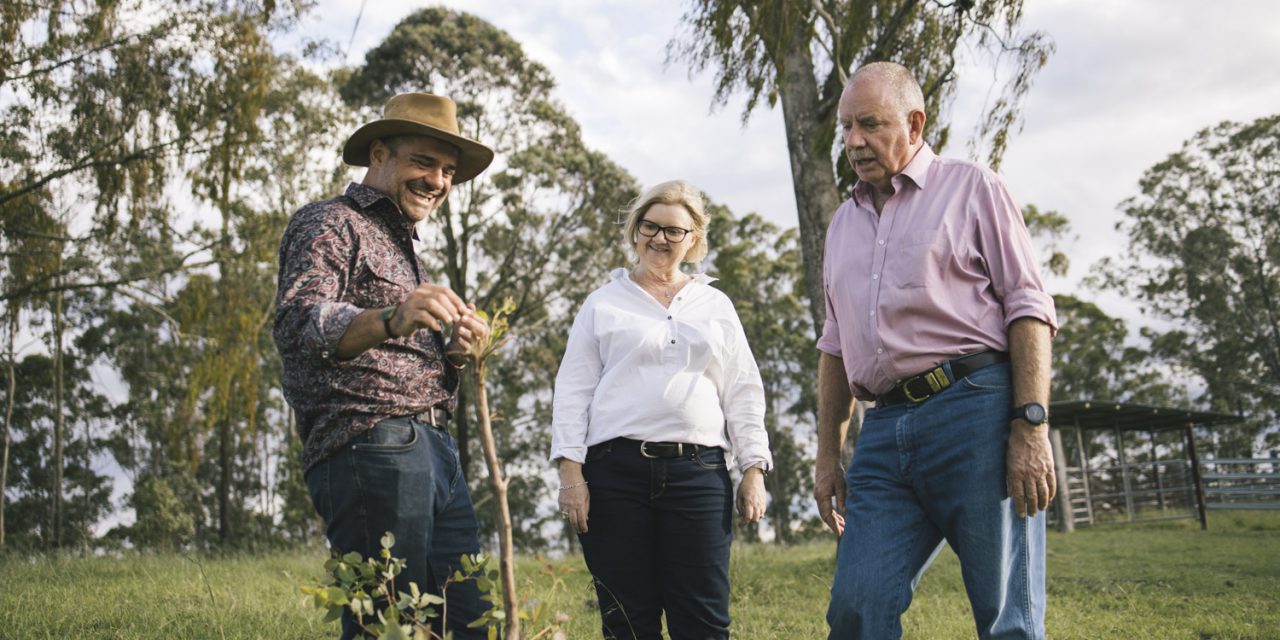 Sustainability taking off in the Australian beef industry