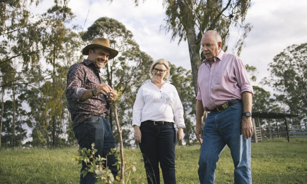 Sustainability taking off in the Australian beef industry