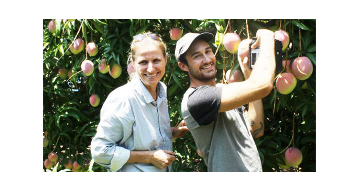 World-first mango auto-harvester turning heads within industry