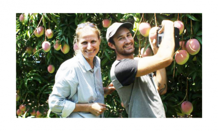 World-first mango auto-harvester turning heads within industry