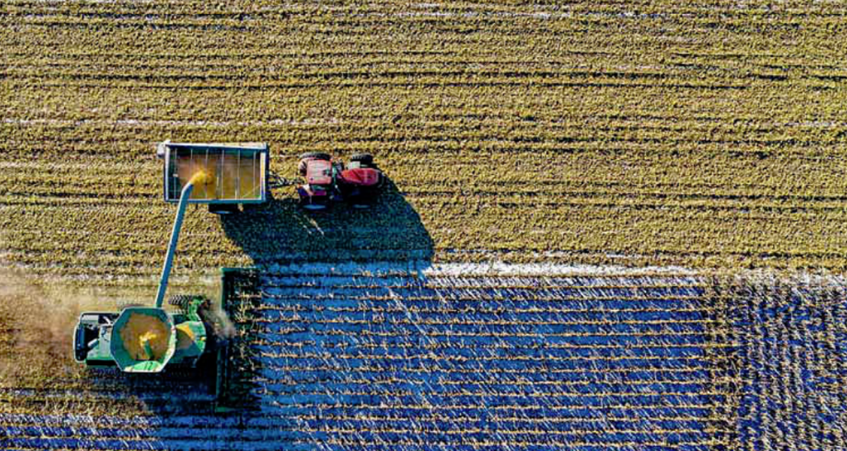 Victorian producers are invited to join a world-first entrepreneurship development program.