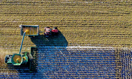 Victorian producers are invited to join a world-first entrepreneurship development program.