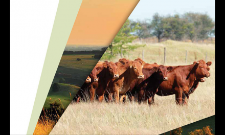 AUSSIE BEEF: HALVING EMISSIONS AND LEADING SUSTAINABLE PRODUCTION