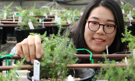 Science gives Tassie’s essential oils a boost