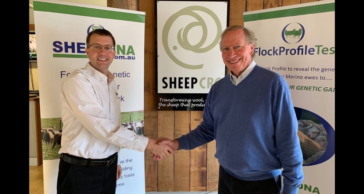 Neogen to take CRC’s lead on sheep DNA testing from July 1