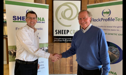 Neogen to take CRC’s lead on sheep DNA testing from July 1