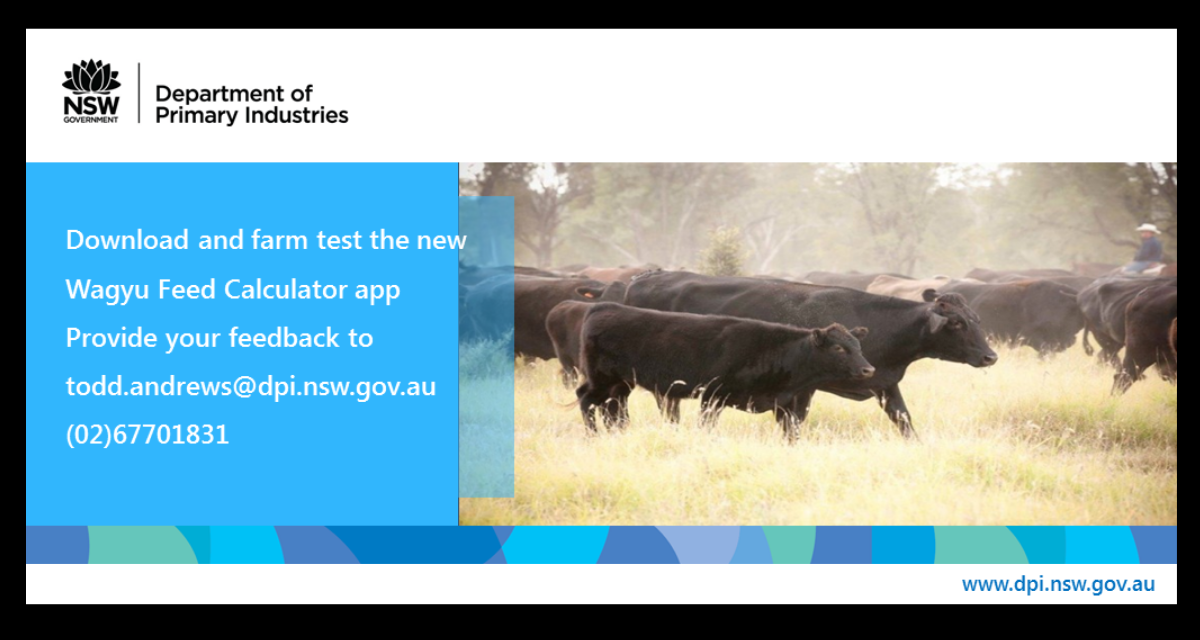 New technology for best beef Wagyu production