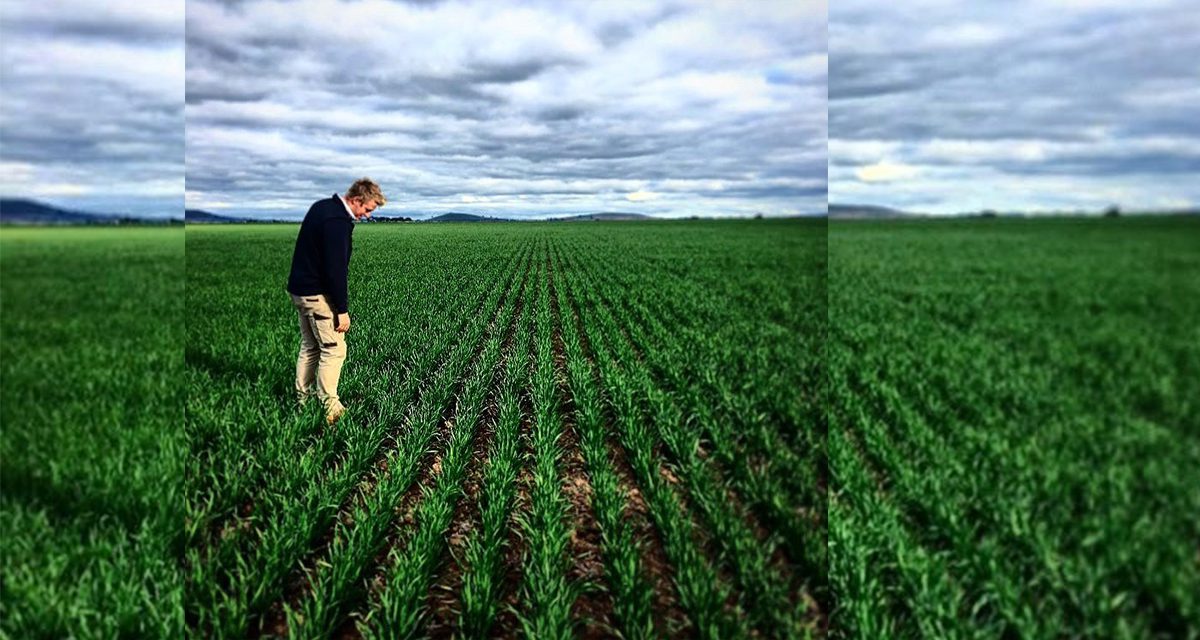 Glengower farmer to share success with grassland tour