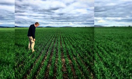 Glengower farmer to share success with grassland tour