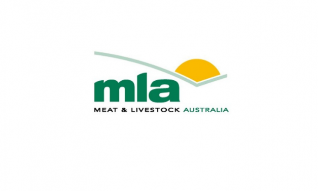 Beef boning automation set to transform red meat processing