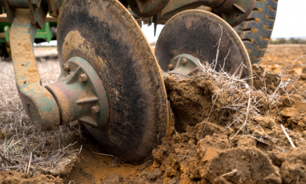 Growers invited to get hands dirty at soils forums