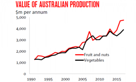 Horticulture exports grow to rival Australian lamb and dairy