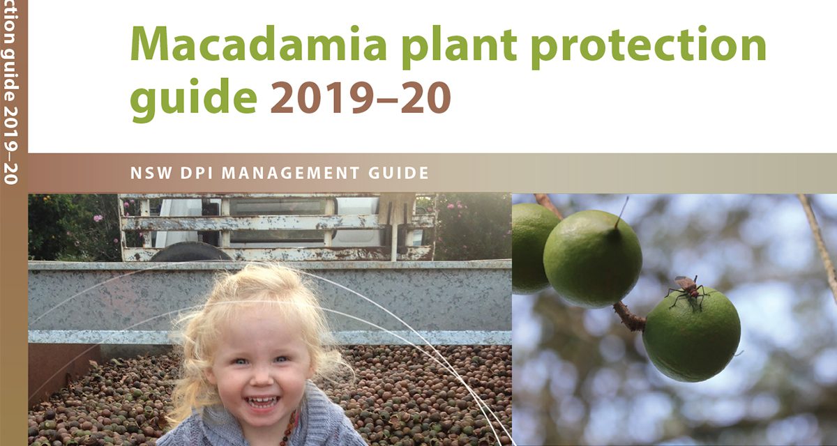 New guide to protect macadamia production