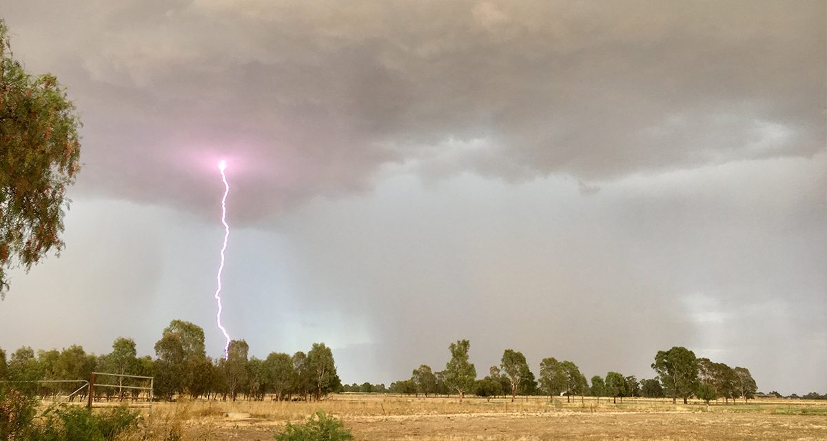 Farmers brace for tough winter after dry start to season, but recent rains rally hopes