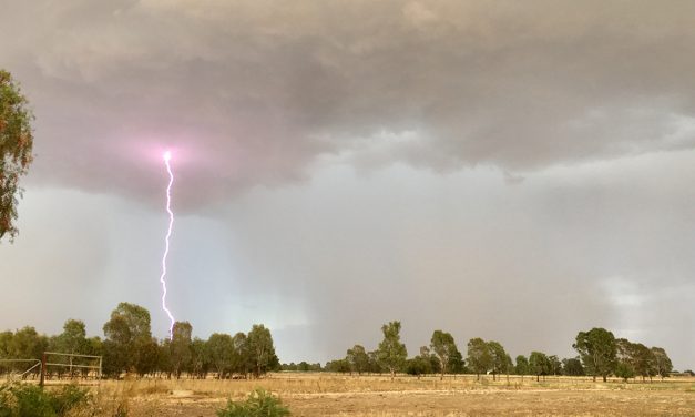 Farmers brace for tough winter after dry start to season, but recent rains rally hopes