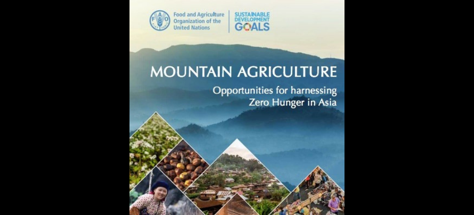 Mountain agriculture vital to ending hunger