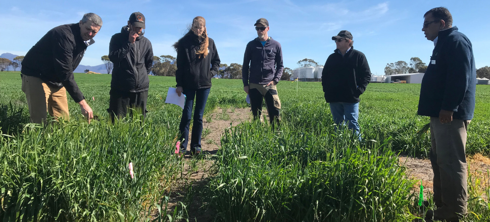 Panel to visit WA’s southern cropping areas