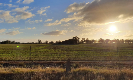 Family, locals and backpackers fill farmers’ labour needs