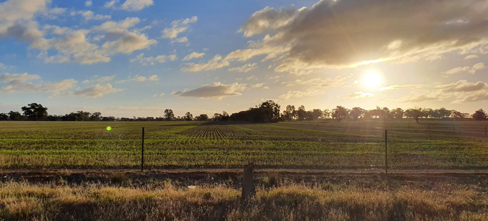 Life-changing program for young farmers and fishers