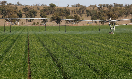 Wimmera growers urged to test for resistance