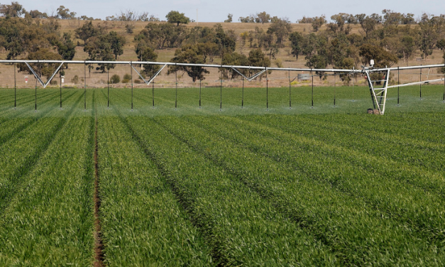 Wimmera growers urged to test for resistance