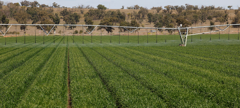 Wimmera growers urged to test for resistance