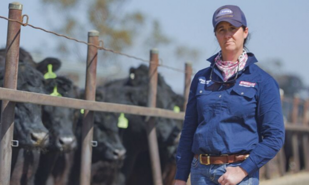 Queensland’s top MSA producers announced