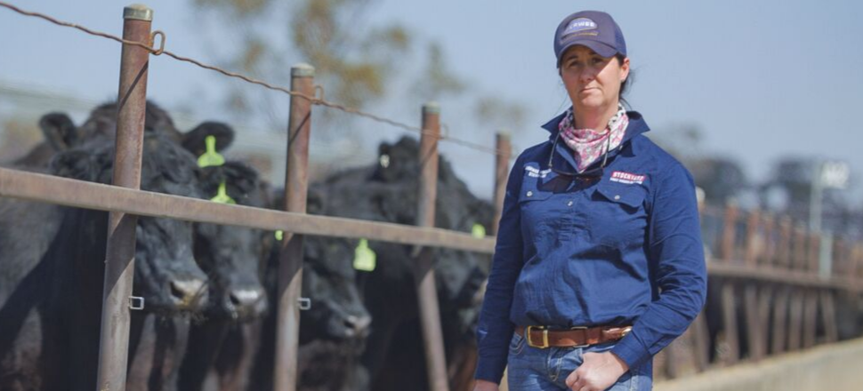 Queensland’s top MSA producers announced