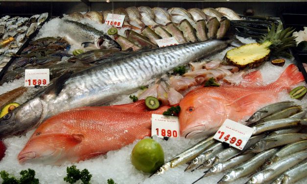 Free trade spawns boom in Aussie seafood exports