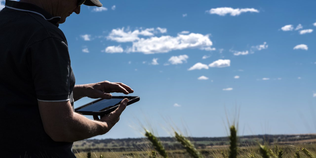 2020 Nuffield Scholarships Awarded To Grains Industry Innovators