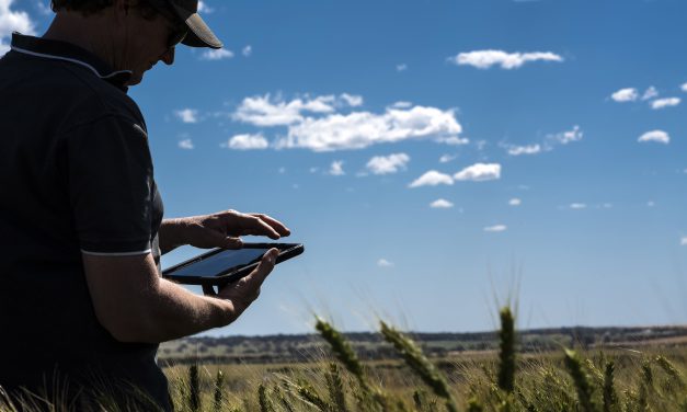 2020 Nuffield Scholarships Awarded To Grains Industry Innovators