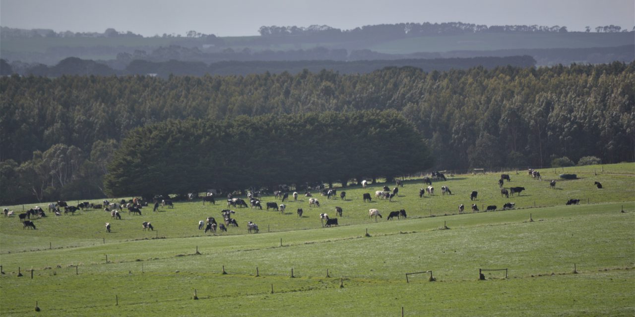 INAUGURAL YOUNG FARMER BUSINESS PROGRAM CONFERENCE LAUNCHED