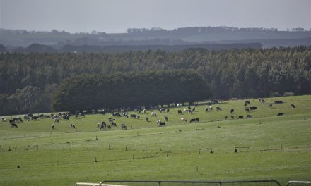 INAUGURAL YOUNG FARMER BUSINESS PROGRAM CONFERENCE LAUNCHED