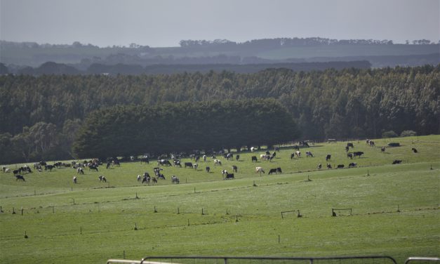 INAUGURAL YOUNG FARMER BUSINESS PROGRAM CONFERENCE LAUNCHED