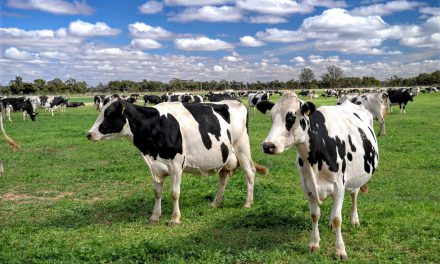 Australian Dairy Farmers statement on re-regulating the dairy industry
