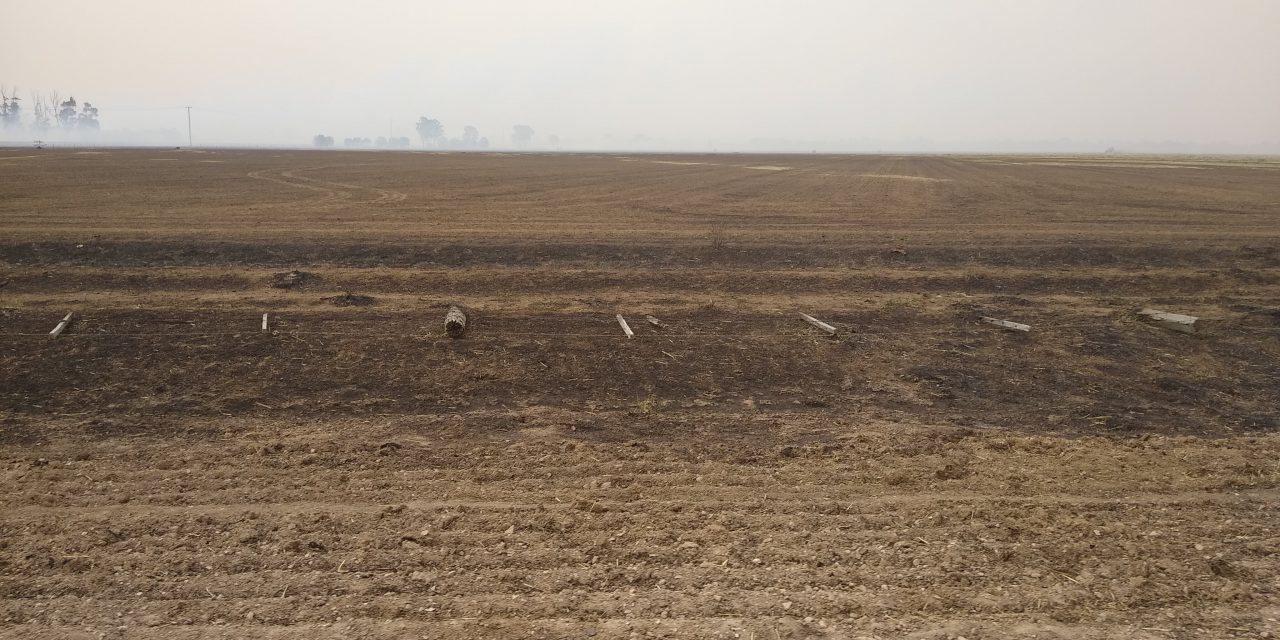 Emergency fodder, water and veterinary care available for bushfire affected landholders