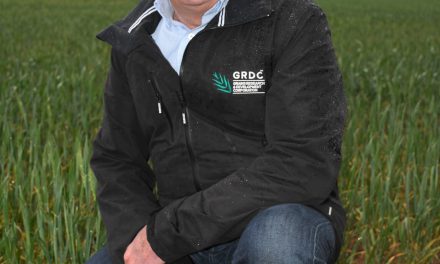 New sowing guide to inform Victorian growers’ variety decisions
