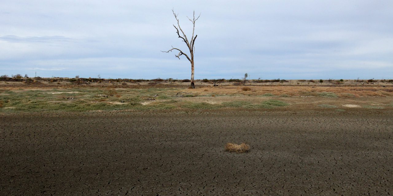 Producers reminded to use CVDs as drought continues