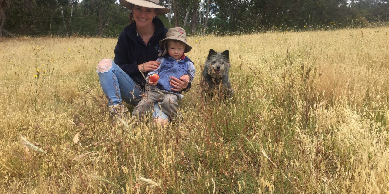 Get the lowdown on flowering native grasses and soil health